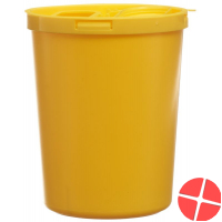 E Safe Entsorgungsbox 1.64 L Standard