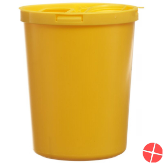 E Safe Entsorgungsbox 1.64 L Standard