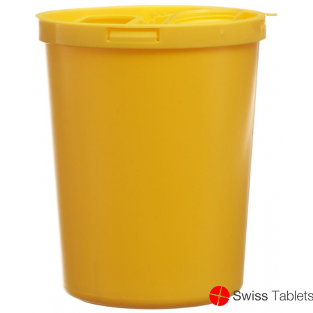 E Safe Entsorgungsbox 1.64 L Standard buy online