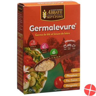 Germalevure Bierhefe Weizenkeime Pulver 250g
