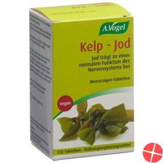 Kelp-Jod 120 Tabletten