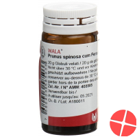 Wala Prunus Spinosa Ferm C Ferro Globuli D 3 Flasche 20g