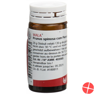 Wala Prunus Spinosa Ferm C Ferro Globuli D 3 Flasche 20g