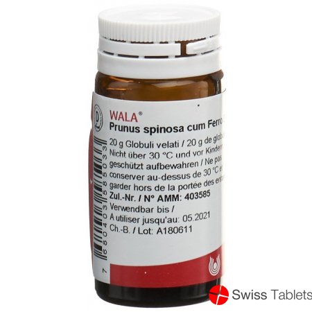 Wala Prunus Spinosa Ferm C Ferro Globuli D 3 Flasche 20g buy online