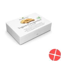 Phytopharma Fly And Drive Pastillen 40 Stück Phytopharma Fly And Drive Pastillen 40 Stück