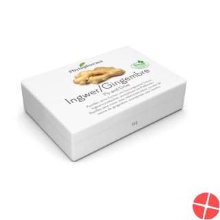 Phytopharma Fly And Drive Pastillen 40 Stück