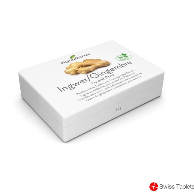 Phytopharma Fly And Drive Pastillen 40 Stück buy online