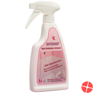 Intensif Bad Entkalker Schaum Liquid 500g