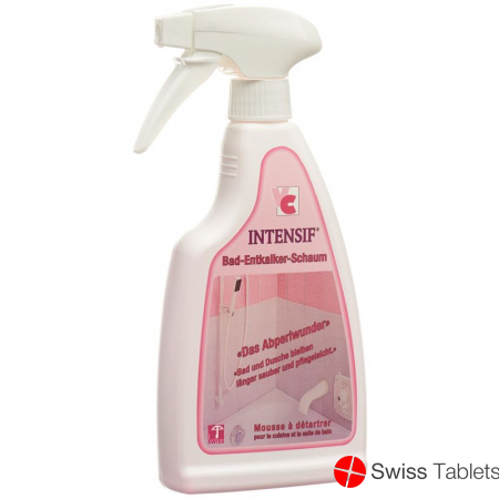 Intensif Bad Entkalker Schaum Liquid 500g buy online