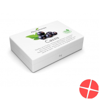 Phytopharma Cassis Pastillen 60g