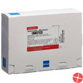 Adrenalin Bichsel Injektionslösung 1mg/10ml 10 Ampullen 10ml