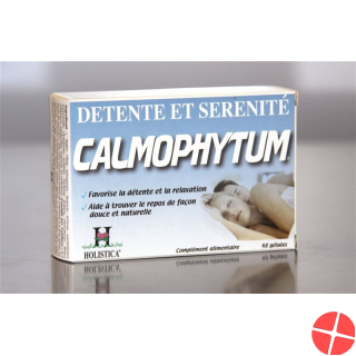 Holistica Calmophytum Kapseln 48 Stück