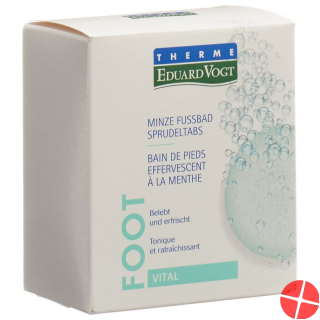 Therme Eduard Vogt Minze Fussbad 6x 30g