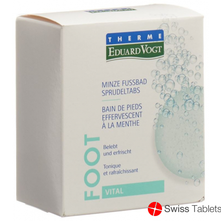 Therme Eduard Vogt Minze Fussbad 6x 30g buy online