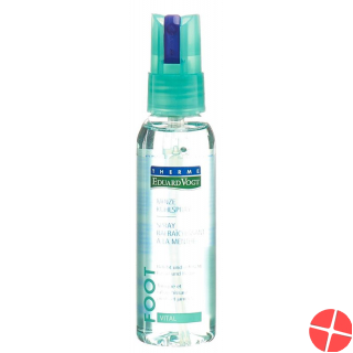 Therme Eduard Vogt Minze Kühlspray 100ml