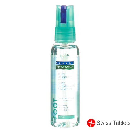 Therme Eduard Vogt Minze Kühlspray 100ml buy online