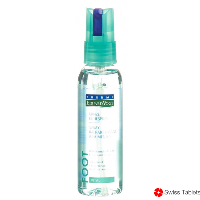 Therme Eduard Vogt Minze Kühlspray 100ml buy online