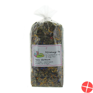 Herboristeria Tee Erfrischung im Sack 80g