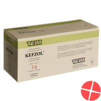 Kefzol Trockensubstanz 2g Flasche 10 Stück