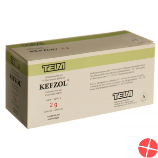 Kefzol Trockensubstanz 2g Flasche 10 Stück