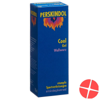 Perskindol 100 ml cool wallwurz gel Perskindol 100 ml cool wallwurz gel