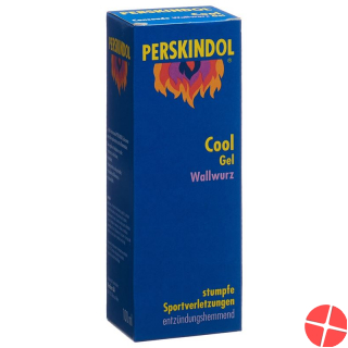 Perskindol 100 ml cool wallwurz gel Perskindol 100 ml cool wallwurz gel