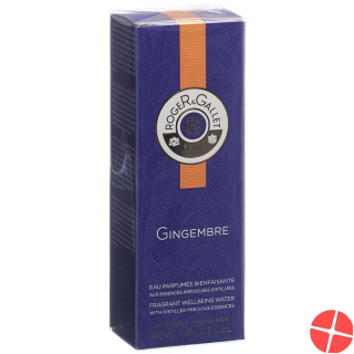 Roger Gallet Gingembre Parfüm 100ml