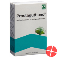 Prostagutt Uno 60 Kapseln