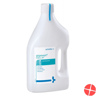Gigasept Instru Af Desinfektion Flasche 2L