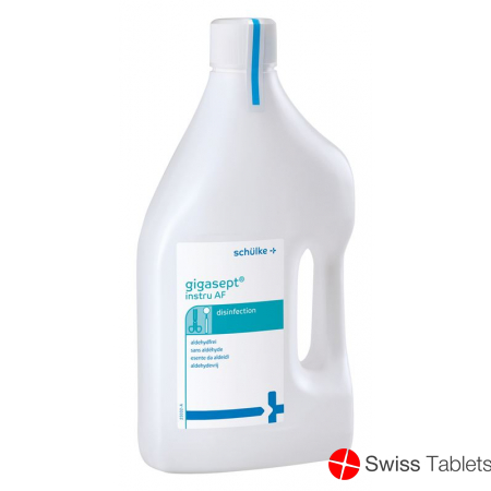 Gigasept Instru Af Desinfektion Flasche 2L buy online