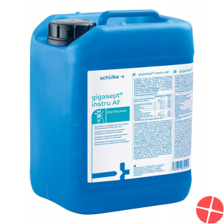 Gigasept Instru Af Desinfektion 5L