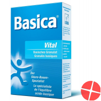 Basica Vital Mineralsalzpulver 200g
