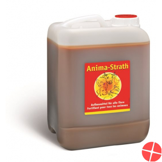 Anima Strath Aufbaumittel 5 Liter