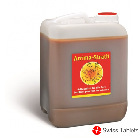 Anima Strath Aufbaumittel 5 Liter buy online
