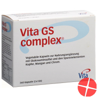 Vita GS Complex Glukosaminsulfat Kapseln 260 Stück