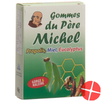 Bioligo Gommes Du Pere Michel Eucalyptus Dose 45g