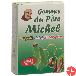 Bioligo Gommes Du Pere Michel Eucalyptus Dose 45g Bioligo Gommes Du Pere Michel Eucalyptus Dose 45g