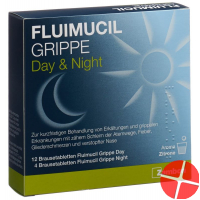 Fluimucil Grippe Day Night 16 Brausetabletten