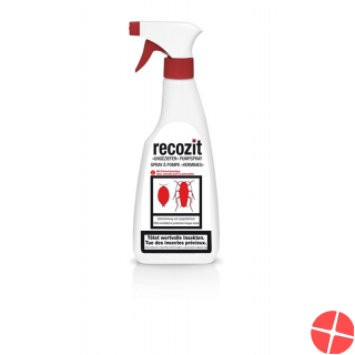 Recozit 500 ml pest control spray
