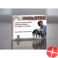 Holistica Andolistica Kapseln 40 Stück