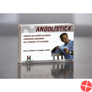 Holistica Andolistica Kapseln 40 Stück
