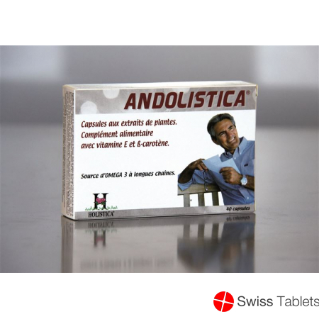 Holistica Andolistica Kapseln 40 Stück buy online