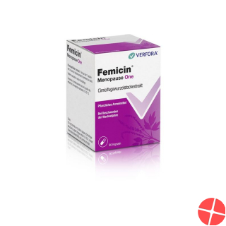 Femicin Menopause One 90 Kapseln