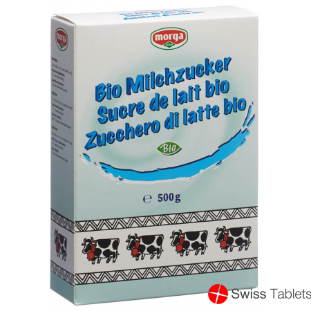 Morga Milchzucker Bio 500g buy online