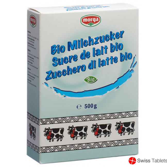 Morga Milchzucker Bio 500g buy online