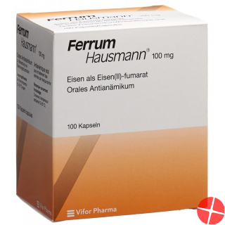 Ferrum Hausmann 100 Kapseln
