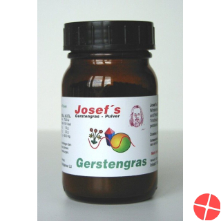 Gerstengras Josefs Pulver 6x 100g