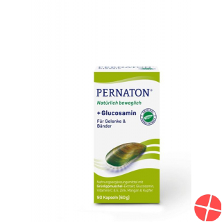 Pernaton Plus Glucosamine Capsules Can 90 pieces