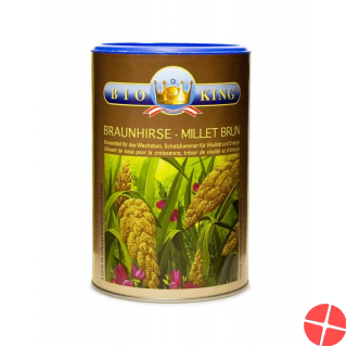 Bio King Braunhirsevollwertpulver 500g