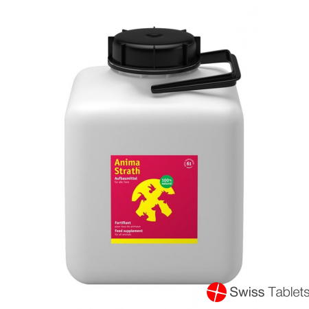 Anima Strath Aufbaumittel 4kg buy online